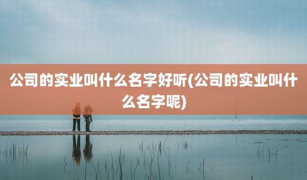 公司的实业叫什么名字好听(公司的实业叫什么名字呢)