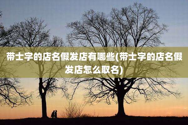 带士字的店名假发店有哪些(带士字的店名假发店怎么取名)
