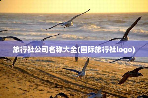 旅行社公司名称大全(国际旅行社logo)