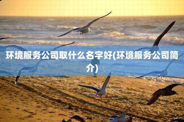 环境服务公司取什么名字好(环境服务公司简介)