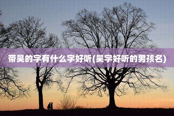 带吴的字有什么字好听(吴字好听的男孩名)