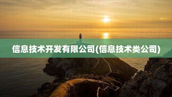 信息技术开发有限公司(信息技术类公司)