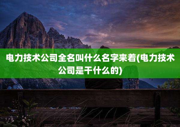 电力技术公司全名叫什么名字来着(电力技术公司是干什么的)