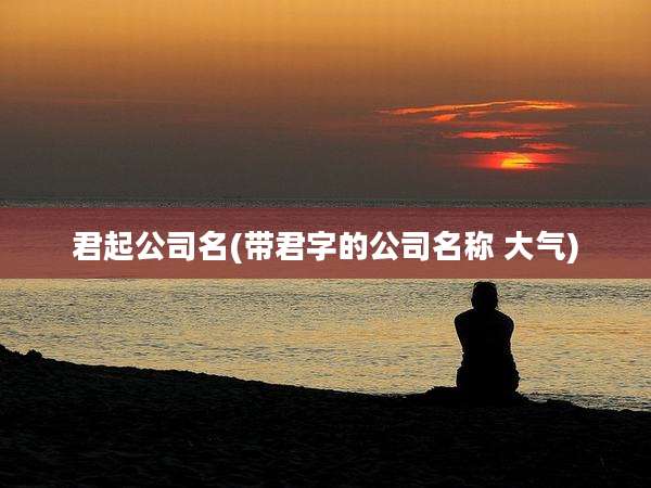 君起公司名(带君字的公司名称 大气)