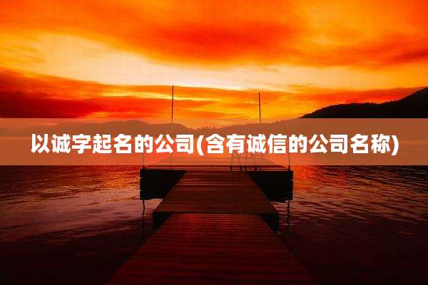 以诚字起名的公司(含有诚信的公司名称)