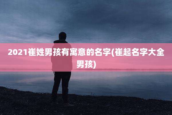 2021崔姓男孩有寓意的名字(崔起名字大全男孩)