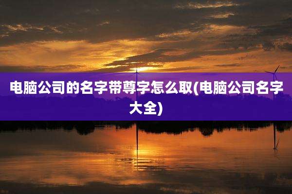 电脑公司的名字带尊字怎么取(电脑公司名字大全)