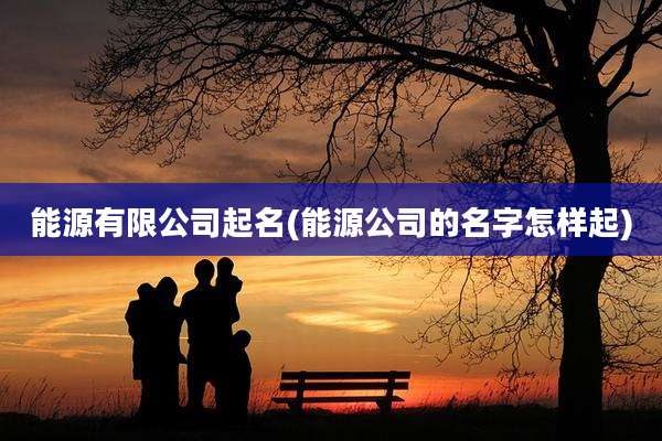 能源有限公司起名(能源公司的名字怎样起)