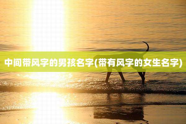 中间带风字的男孩名字(带有风字的女生名字)