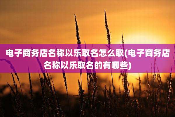 电子商务店名称以乐取名怎么取(电子商务店名称以乐取名的有哪些)