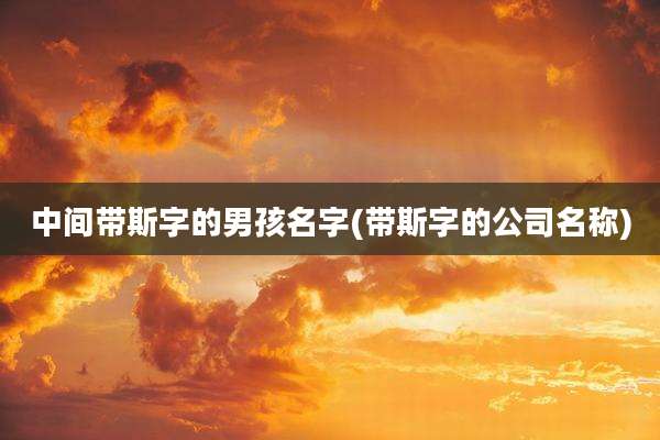 中间带斯字的男孩名字(带斯字的公司名称)