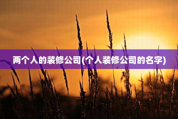 两个人的装修公司(个人装修公司的名字)