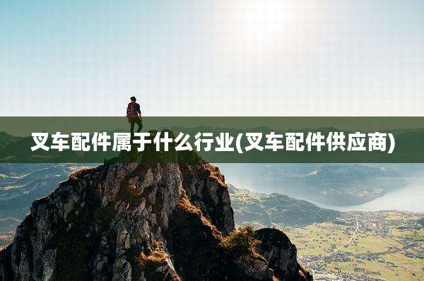 叉车配件属于什么行业(叉车配件供应商)