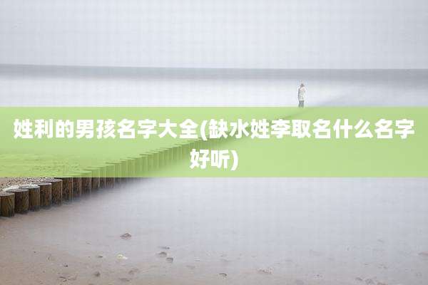 姓利的男孩名字大全(缺水姓李取名什么名字好听)