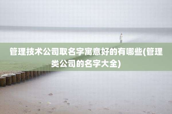 管理技术公司取名字寓意好的有哪些(管理类公司的名字大全)