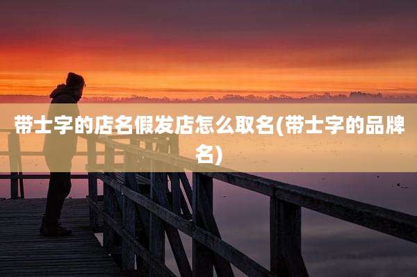 带士字的店名假发店怎么取名(带士字的品牌名)