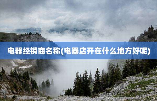 电器经销商名称(电器店开在什么地方好呢)