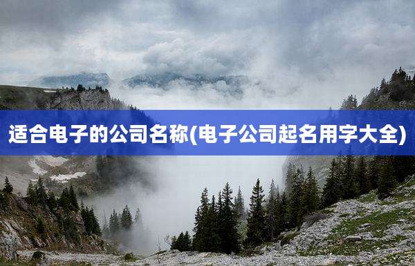 适合电子的公司名称(电子公司起名用字大全)