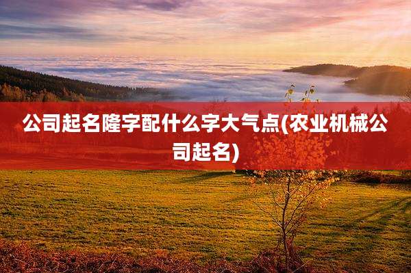 公司起名隆字配什么字大气点(农业机械公司起名)