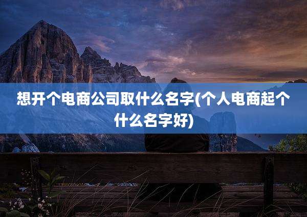 想开个电商公司取什么名字(个人电商起个什么名字好)
