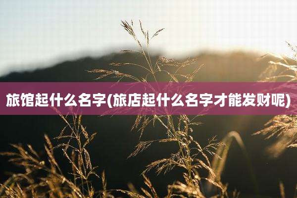 旅馆起什么名字(旅店起什么名字才能发财呢)