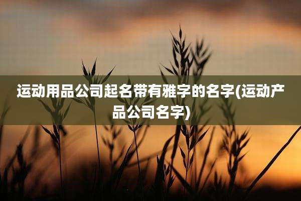 运动用品公司起名带有雅字的名字(运动产品公司名字)