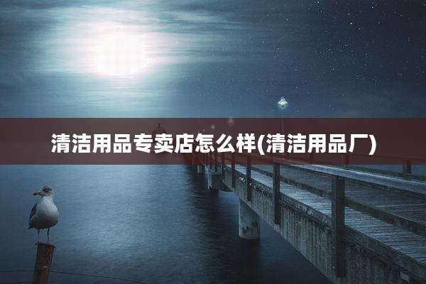 清洁用品专卖店怎么样(清洁用品厂)