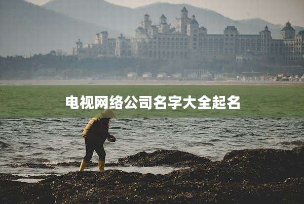 电视网络公司名字大全起名