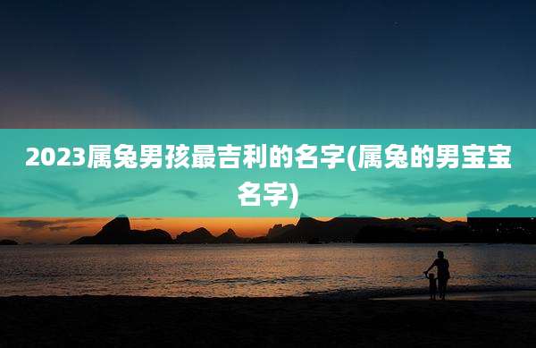 2023属兔男孩最吉利的名字(属兔的男宝宝名字)