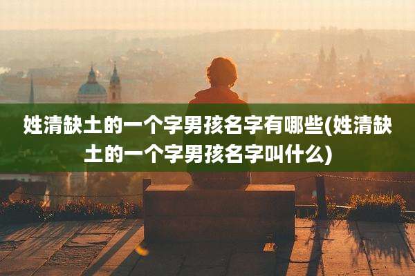 姓清缺土的一个字男孩名字有哪些(姓清缺土的一个字男孩名字叫什么)