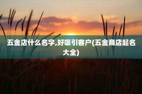 五金店什么名字,好吸引客户(五金商店起名大全)