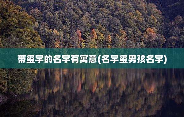 带玺字的名字有寓意(名字玺男孩名字)