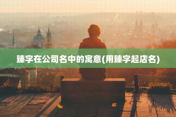 臻字在公司名中的寓意(用臻字起店名)