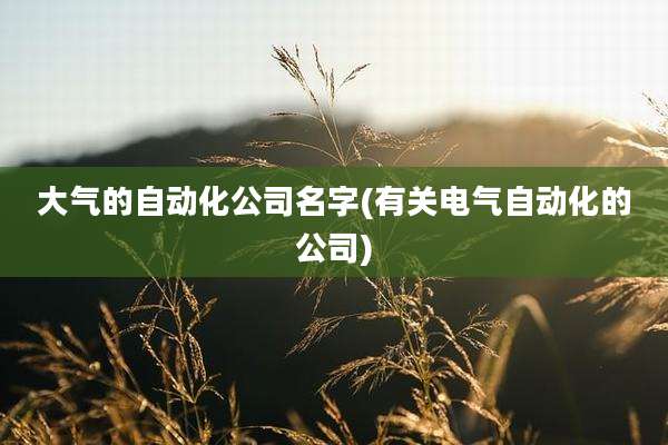 大气的自动化公司名字(有关电气自动化的公司)