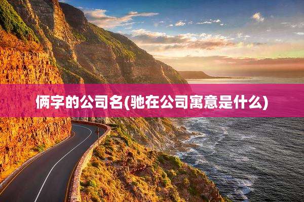 俩字的公司名(驰在公司寓意是什么)