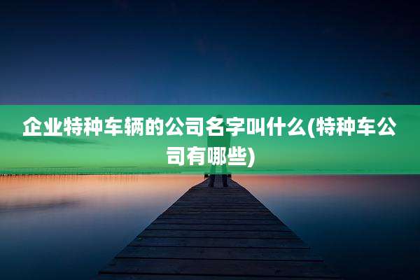 企业特种车辆的公司名字叫什么(特种车公司有哪些)