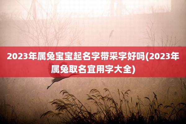 2023年属兔宝宝起名字带采字好吗(2023年属兔取名宜用字大全)