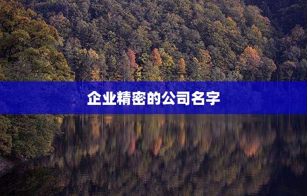 企业精密的公司名字