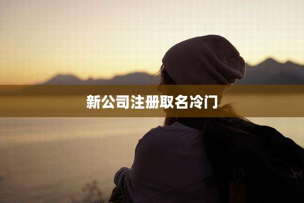 新公司注册取名冷门
