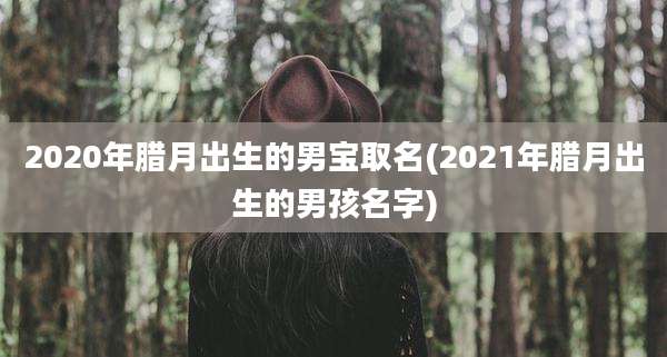 2020年腊月出生的男宝取名(2021年腊月出生的男孩名字)