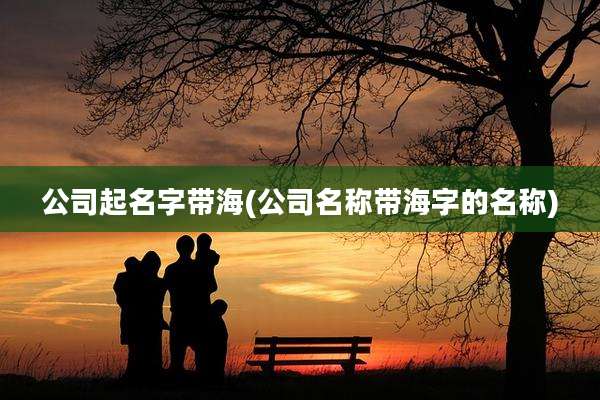 公司起名字带海(公司名称带海字的名称)