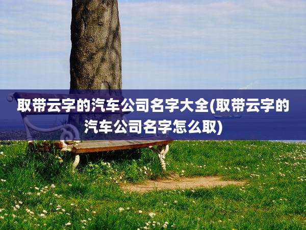 取带云字的汽车公司名字大全(取带云字的汽车公司名字怎么取)