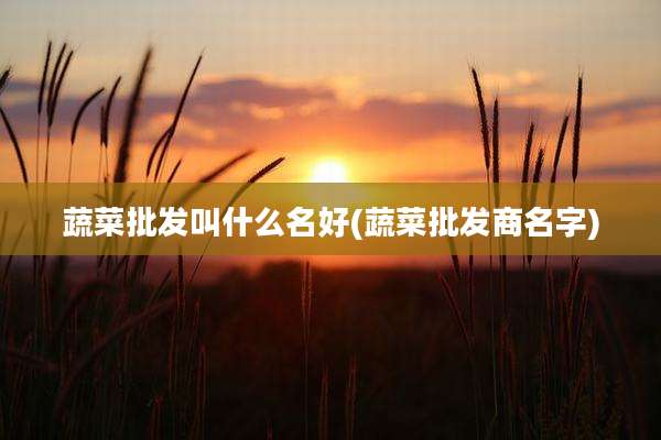 蔬菜批发叫什么名好(蔬菜批发商名字)