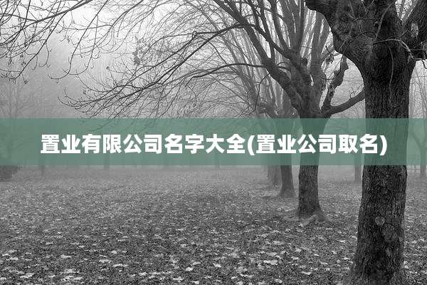 置业有限公司名字大全(置业公司取名)