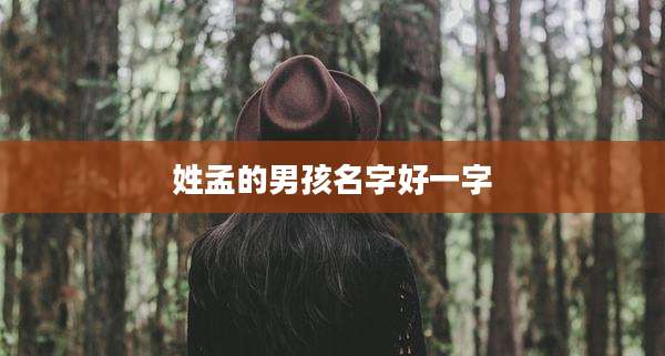 姓孟的男孩名字好一字