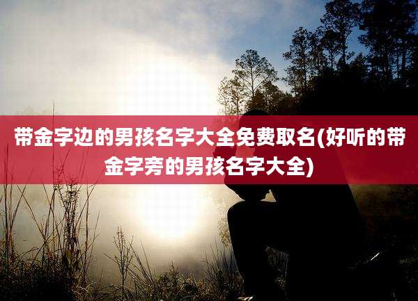 带金字边的男孩名字大全免费取名(好听的带金字旁的男孩名字大全)