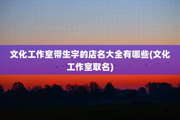 文化工作室带生字的店名大全有哪些(文化工作室取名)
