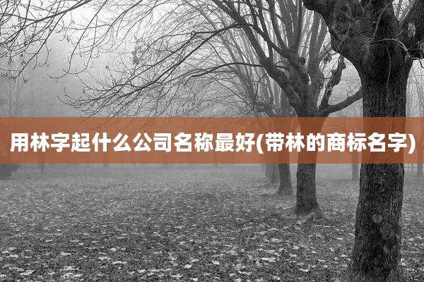 用林字起什么公司名称最好(带林的商标名字)