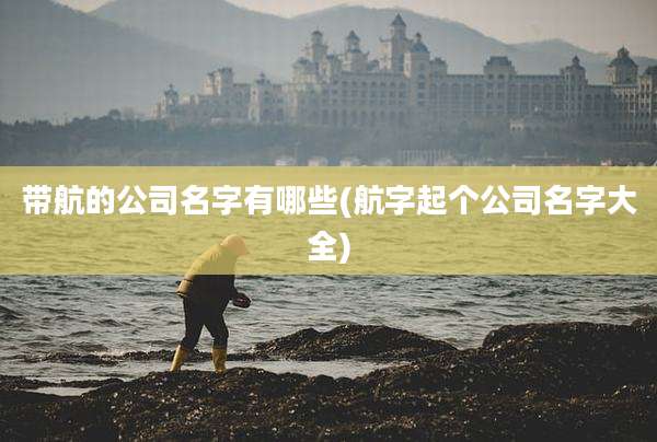 带航的公司名字有哪些(航字起个公司名字大全)