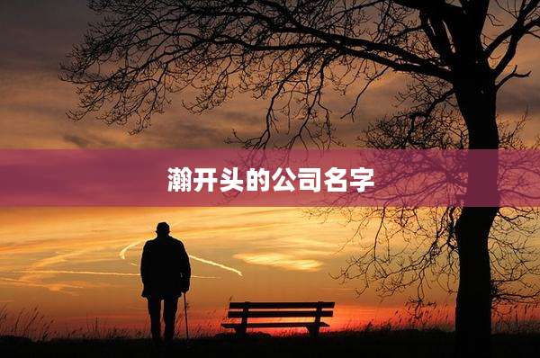 瀚开头的公司名字